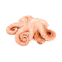 Cooked octopus
