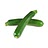 zucchini
