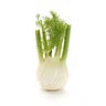 1 fennel bulb, finely diced
