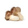 1/4 cup chopped mushrooms