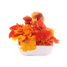Edible fresh flowers (optional)