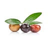 Black, green, and purple olives